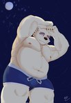 anthro belly biceps bottomwear bulge clothed clothing eyebrows fur male nipples overweight overweight_male pecs shorts solo swimwear thick_eyebrows white_body white_fur tengzai05 lifewonders tokyo_afterschool_summoners leib_(tas) bear mammal polar_bear ursine hi_res