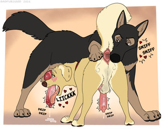anatomically_correct anatomically_correct_genitalia animal_genitalia animal_penis anus balls big_anus blush blush_lines bodily_fluids butt butt_sniffing canine_genitalia canine_penis collar duo feral feral_on_feral genital_fluids genitals heart_symbol knot knotted_penis leaking_precum licking male male/male oral pawpads paws penile penis penis_lick precum presenting presenting_anus presenting_hindquarters saliva sex sheath sniffing throbbing throbbing_penis tongue tongue_out badfurgood charlie_(eternalwolf5) streetdog bird_dog canid canine canis domestic_dog german_shepherd golden_retriever herding_dog hunting_dog mammal pastoral_dog retriever