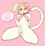 anthro blonde_hair breasts clothing collar exclamation_point female fur green_eyes hair looking_down navel panties pink_body pink_fur pink_hair pink_nose short_hair smile solo spread_legs spreading thick_thighs tongue underwear yellow_body yellow_fur redrabbu domestic_cat felid feline felis hybrid lagomorph leporid mammal rabbit 2017