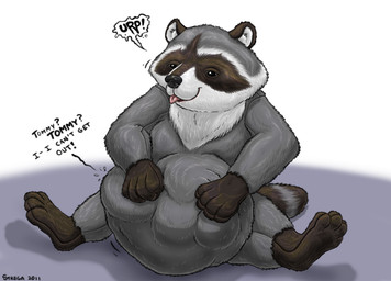 ambiguous_gender anthro burping duo fur oral_vore plushie same_size_vore satisfied semi-anthro simple_background sitting smile struggling struggling_prey tail text tongue unwilling_prey vore white_background strega animate_inanimate living_plushie mammal procyonid raccoon digital_media_(artwork)