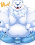 anthro belly big_belly blush bulge clothing fur kemono male moobs nipples overweight overweight_male simple_background solo underwear white_body white_fur tolsche lifewonders live_a_hero yohack canid canine canis domestic_dog mammal nordic_sled_dog samoyed spitz 2023 hi_res