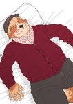 anthro bed blush bottomwear brown_body brown_fur bulge clothing fur furniture humanoid_hands kemono lying male overweight overweight_anthro overweight_male pants pillow shirt solo topwear ryuta-h canid canine canis domestic_dog mammal 2018