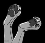 4_toes ambiguous_gender anthro black_claws black_pawpads claws curling_toes feet foot_focus foot_shot glistening glistening_body grey_body hindpaw machine metallic_body pawpads paws plantigrade simple_background solo toes transparent_background cloudpie conditional_dnp konuro_silver canid canine canis domestic_dog husky mammal nordic_sled_dog robot robot_anthro spitz 2022 alpha_channel clip_studio_paint_(artwork) digital_drawing_(artwork) digital_media_(artwork) flat_colors monochrome