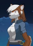 anthro belt biped clothed clothing cloud cropped_jacket female freckles fully_clothed night painted_background solo silverbunny canid canine fox mammal digital_media_(artwork) half-length_portrait hi_res portrait