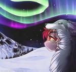 ambiguous_form ambiguous_gender aurora_(phenomenon) felid fur hair honesty_(artist) mammal mountain outside snow solo