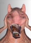 ambiguous_gender bad_teeth cannot_unsee creepy flehmen_response nightmare_fuel simple_background solo transformation what what_has_science_done where_is_your_god_now third-party_edit whiteflamek equid equine horse mammal hi_res photo_manipulation photomorph