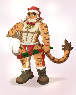 abs anthro bell blue_eyes boots christmas_clothing christmas_headwear clothing footwear hat headgear headwear holidays male muscular muscular_male nipples orange_body pink_nipples pink_nose rattle robe santa_bag santa_hat shoes simple_background solo stripes tail underwear white_background wo christmas anonymous_character felid mammal pantherine tiger 4:5 hi_res