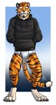 anthro black_clothing black_hoodie black_topwear briefs bulge clothing detailed_bulge drawyourfursona genital_outline hoodie hoodie/briefs_meme male penis_outline simple_background smug solo standing topwear underwear white_clothing white_underwear hufnaar meme_clothing hufnaar_(character) felid mammal pantherine tiger hi_res meme