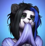 anthro clothed clothing female green_eyes highlights_(coloring) mouth_hold raised_clothing raised_shirt raised_topwear shirt solo teasing topwear yusioka shein_li bear giant_panda mammal