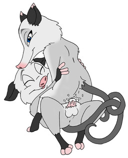 anthro anus balls bodily_fluids cowgirl_position cum cum_in_vagina cum_inside duo erection eyes_closed female female_on_top female_penetrated from_front_position fur genital_fluids genitals lying male male/female male_on_bottom male_penetrating male_penetrating_female nude on_back on_bottom on_top penetration penile penile_penetration penis penis_in_vagina sex simple_background straddling tail vaginal vaginal_penetration vulva white_background unknown_artist dreamworks over_the_hedge heather_(over_the_hedge) american_opossum mammal marsupial virginia_opossum daughter_(lore) father_(lore) father_and_child_(lore) father_and_daughter_(lore) incest_(lore) parent_(lore) parent_and_child_(lore) parent_and_daughter_(lore)