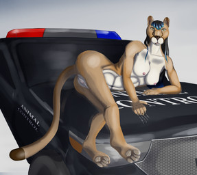 anthro feet female genitals nipples nude on_car pawpads paws pose property_damage scratching solo vulva mel_vixen_(artist) xiadani cougar felid feline mammal absurd_res hi_res pinup