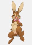 anthro breasts brown_body brown_fur butt female fur genitals innie_pussy mascot nipples nude presenting presenting_pussy pussy ribbons simple_background smile solo noodlestoat cadbury cadbury_bunny lagomorph leporid mammal rabbit 2021 hi_res