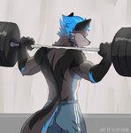 anthro athletic_wear barbell black_ears blue_hair bodily_fluids bottomwear chevron_(marking) clothed clothing exercise fur gloves_(marking) grey_body grey_fur gym_equipment hair looking_away male markings shorts solo standing sweat sweatdrop topless weightlifting weights workout alibi-cami nimbus_(wcnimbus) canid canine canis fox hybrid mammal wolf absurd_res hi_res