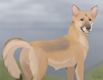 anatomically_correct anatomically_correct_anus anatomically_correct_genitalia anatomically_correct_vulva animal_genitalia animal_vulva anus black_nose blind brown_body brown_fur butt canine_genitalia canine_vulva disability female feral fur genitals looking_at_viewer multicolored_body multicolored_fur open_mouth pink_anus pink_tongue pink_vulva presenting presenting_anus presenting_hindquarters presenting_vulva quadruped raised_tail solo tail tail_anus tan_body tan_fur text tongue vulva white_body white_fur paper-wings that_one_german_shepherd_with_the_distinctive_darker_fur_patch_on_her_side canid canine canis domestic_dog german_shepherd herding_dog mammal pastoral_dog 2023 dated english_text hi_res