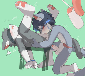 4_fingers anthro anthro_on_anthro arm_tuft balls bdsm black_hair black_nose blindfold blindfold_only blue_body blue_fur blue_hair blue_markings blush blush_lines bodily_fluids bondage bound clothing cum cumshot cutaway deep_throat dipstick_tail dripping duo ejaculation elbow_tuft emanata erection eyebrow_through_hair eyebrows eyes_closed facial_tuft fellatio fingers fur furniture genital_fluids genitals glistening glistening_genitalia glistening_penis gloves green_background grey_body grey_fur hair hands_behind_back hands_tied hands_tied_behind_back handwear kemono kneeling leg_grab leg_markings legs_up looking_pleasured lying male male/male male_penetrated male_penetrating male_penetrating_male markings motion_lines multicolored_body multicolored_fur nude on_back on_one_knee oral oral_penetration orgasm pawpads penetration penile penis perineum pink_inner_ear pink_pawpads pink_tongue precum precum_drip red_markings sex shoulder_tuft simple_background socks_(marking) spread_legs spreading sweat sweatdrop table tail tail_coil tail_markings tail_tuft text thigh_grab tongue translucent translucent_hair tuft two_tone_body two_tone_fur white_balls white_body white_eyebrows white_fur white_penis young young_anthro young_male young_penetrated young_penetrating nekowuwu canid mammal 2025 chinese_text hi_res translated