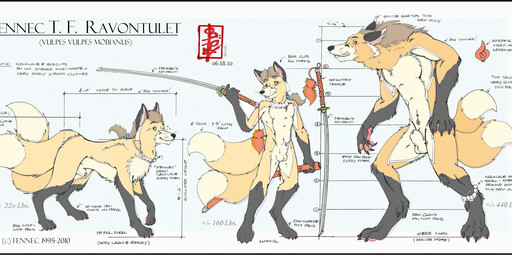 2_tails animal_genitalia balls claws dew_claws digitigrade fur genitals hair jewelry lycanthropy male multi_tail necklace nodachi orange_body orange_fur ponytail sheath solo tail text fennec_(artist) fennec_(character) canid canine fox mammal red_fox true_fox werecanid werecanine werecreature werefox digital_media_(artwork) english_text hi_res model_sheet
