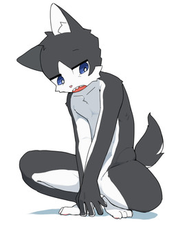 anthro black_body black_fur blue_eyes crouching fangs fur half-closed_eyes male narrowed_eyes nude_male open_mouth pawpads simple_background solo spread_legs spreading tail teeth tiptoes white_background white_body white_fur young young_anthro young_male poch1 domestic_cat felid feline felis mammal absurd_res hi_res japanese_description