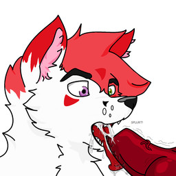 animal_genitalia animal_penis bodily_fluids canine_genitalia canine_penis cum cum_in_mouth cum_inside cumshot duo ejaculation erection fellatio feral fur genital_fluids genitals green_eyes hair heterochromia knot licking male male/male male_penetrated male_penetrating male_penetrating_male multicolored_hair open_mouth oral orgasm penetration penile penis penis_lick pink_eyes purple_eyes sex simple_background teeth text tongue tongue_out white_background white_body white_fur backsash sash_(backsash) canid canine canis domestic_dog husky mammal nordic_sled_dog spitz english_text