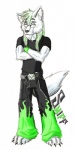 alternative_fashion anthro clothed clothing green_hair hair leather male solo tail hellgoddess sniff_heinkel canid canine canis mammal wolf hi_res