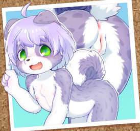 4_fingers ahoge anthro anus arched_back blue_background blue_pupils blush border brown_nose butt butt_shot countershade_face countershade_legs countershade_tail countershade_torso countershading eyebrow_through_hair eyebrows female fingers fist flat_chested floppy_ears folded_ears front_view fur genitals green_eyes grey_body grey_ears grey_fur grey_tail hair happy innie_vulva iris kemono legs_together loli looking_at_viewer multicolored_body multicolored_fur multicolored_hair multiple_angles nipples nude open_mouth open_smile outside_border pink_anus pink_inner_ear pink_nipples pink_tongue pink_vulva pupils purple_hair raised_tail side_view simple_background smile smiling_at_viewer solo tail tongue translucent translucent_hair two_tone_body two_tone_fur two_tone_hair two_tone_tail vulva white_body white_countershading white_eyebrows white_fur white_hair white_tail young young_anthro young_female canopus335 canid canine canis domestic_dog mammal 2024 digital_media_(artwork) hi_res shaded