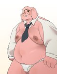 anthro belly big_belly briefs bulge clothing kemono male moobs navel necktie nipples overweight overweight_male pink_body simple_background solo tighty_whities underwear white_background white_briefs white_clothing white_underwear qqmelon888 cartoon_network the_amazing_world_of_gumball richard_watterson lagomorph leporid mammal rabbit 2024