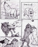 animal_genitalia balls canid canine canis comic coop_(wrng) dialogue digitigrade english_text female feral fully_sheathed genitals greyscale group kiba_(wolf's_rain) lord_darcia_iii male mammal monochrome natsume_(wrng) natsumewolf oz_(wrng) quadruped rikku sheath tail text wolf wolf's_rain wolf's_rain_next_generation