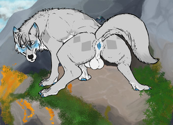 animal_genitalia animal_penis anus arched_back backsack balls canine_genitalia canine_penis embarrased_horny embarrassed embarrassed_expression embarrassed_naked_male embarrassing_exposure feral fully_sheathed genitals male outdoor_background outside penis presenting presenting_anus rock sheath shy solo squat_position squatting_pose yonnixart arctic_fox canid canine fox mammal true_fox 11:8 absurd_res hi_res