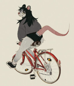 ambiguous_gender anthro bicycle black_bottomwear black_clothing black_eyes black_hair black_shorts bottomwear butt clothing fur grey_body grey_clothing grey_fur grey_sweater grey_topwear hair hotpants long_hair looking_at_viewer looking_back messy_hair rear_view shorts simple_background solo sweater tail tan_background topwear vehicle lucyskunk mammal murid murine rat rodent hi_res