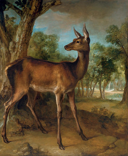 ambiguous_feral ambiguous_gender brown_body brown_fur cloud cloven_hooves detailed_background feral forest forest_background fur grass hooves inner_ear_fluff looking_back nature nature_background outside plant side_view solo standing tree tuft unguligrade jean-baptiste_oudry public_domain deer mammal 1729 18th_century absurd_res ancient_art hi_res oil_painting_(artwork) painting_(artwork) traditional_media_(artwork) traditional_painting_(artwork)