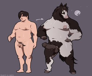 animal_genitalia animal_penis anthro areola balls belt belt_accessory big_arms big_chest big_muscles big_nipples big_pecs big_penis black_hair body_hair dark_penis equine_genitalia equine_penis foreskin full_moon fur genitals glowing glowing_eyes grey_background hair highlights_(coloring) hooves horse_tail male mane markings mole_(marking) moon mottled multicolored_body multicolored_fur muscular muscular_anthro muscular_male navel nipples nude nude_male pecs penis piebald pubes simple_background solo standing star tail thick_thighs transformation select-o-matic equid equine horse human humanoid mammal werecreature wereequine werehorse 2025 6:5 digital_drawing_(artwork) digital_media_(artwork) hi_res lineless shaded signature