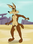 3_toes anthro armpit_hair balls body_hair desert feet foreskin genitals humanoid_genitalia humanoid_penis male navel nipples nude overweight pecs penis pubes slightly_chubby slightly_chubby_male solo toes yellow_eyes rasik looney_tunes warner_brothers wile_e._coyote canid canine canis coyote mammal absurd_res hi_res