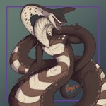 anthro apode brown_body brown_scales fangs fangs_bared holding_tail legless male navel open_mouth pose pupils purple_eyes scales serpentine slit_pupils snake_hood solo spots tail teeth tongue tongue_out sirynjourney roran_(slaya4900) cobra draconcopode naga reptile scalie snake 1:1 absurd_res hi_res sketch