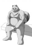 anthro asian_clothing balls belly biped blush clothing east_asian_clothing flaccid fundoshi genitals humanoid_hands japanese_clothing male moobs nipples one_eye_closed overweight overweight_anthro overweight_male penis simple_background sitting solo underwear wink kuma_(pixiv_881259) kumadasi canid canine mammal raccoon_dog tanuki 2010 monochrome