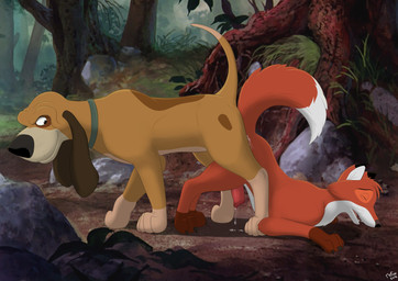 anal anal_knotting anal_penetration animal_genitalia animal_penis ass_to_ass bodily_fluids canine_genitalia canine_penis collar cum cum_while_penetrated detailed_background digitigrade dipstick_tail duo erection eyes_closed feral feral_on_feral forest genital_fluids genitals knotting male male/male male_penetrated male_penetrating male_penetrating_male markings nature outside penetration penis plant precum quadruped sex tail tail_markings tree mcfan disney the_fox_and_the_hound copper_(tfath) tod_(tfath) canid canine canis domestic_dog fox hunting_dog mammal red_fox scent_hound true_fox 2016 absurd_res hi_res