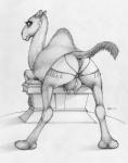 animal_genitalia animal_pussy anus butt camelid_pussy fatty_humps female feral genitals looking_at_viewer looking_back piercing presenting pussy raised_tail seductive smile solo tail teats udders ecmajor camel camelid dromedary mammal 2016 greyscale hi_res monochrome traditional_media_(artwork)