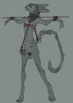 anthro arm_spreader ball_stretcher balls bdsm bdsm_collar bdsm_gear belly_nipples bondage bound cock_and_ball_torture collar cuffed_wrists front_view genital_piercing genital_torture genitals green_background hands_tied humanoid_genitalia humanoid_penis leash male male_anthro nipple_piercing nipples nude_anthro nude_male pain penis penis_piercing piercing piercing_bondage piercing_fetish piercing_outline posture_collar prince_albert_piercing restraints ribs rope rope_around_neck rope_bondage rope_harness rope_leash simple_background skinny skinny_anthro skinny_male slim_anthro slim_male solo spreader_bar standing submissive submissive_anthro submissive_male tail tail_tied thick_collar thin_tail torture yoke_(restraint) kitdoll domestic_cat felid feline felis mammal hi_res