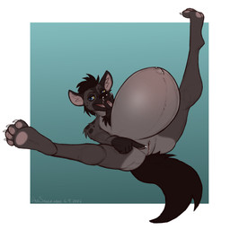 andromorph anthro black_hair blue_eyes border brown_body brown_fur brown_pawpads clitoris facial_piercing fur genitals gesture green_background grey_body grey_fur hair hand_gesture humanoid_genitalia humanoid_hands humanoid_vulva hyper hyper_pregnancy inner_ear_fluff intersex legs_up looking_at_viewer lying navel navel_barbell navel_piercing nose_piercing nude_andromorph nude_anthro on_back outie_navel pawpads piercing pointing pointing_at_self pregnant pregnant_andromorph pregnant_anthro pregnant_intersex simple_background solo spread_legs spreading tongue tongue_out tuft vulva white_border yellow_sclera dansharkman xavier_(devan_doberman) hyena mammal 1:1 2026 digital_drawing_(artwork) digital_media_(artwork) english_description hi_res