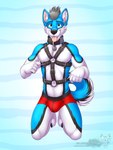 anthro bulge clothed clothing collar harness kneeling looking_at_viewer male simple_background smile solo tail tongue tongue_out underwear vallhound shinxx canid canine canis domestic_dog husky mammal nordic_sled_dog spitz 2017 3:4 digital_drawing_(artwork) digital_media_(artwork) hi_res