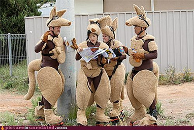 anthro bottle clothing container costume eyewear female fursuit goggles group lost male map outside real tail what unknown_artist human kangaroo macropod mammal marsupial grandfathered_content low_res