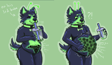 abdominal_bulge antennae_(anatomy) anthro belly belly_expansion beverage big_belly black_body black_fur black_nose bloated bone_tag bubble_tea collar collar_only collar_tag directional_arrow drinking drinking_straw expansion expansion_sequence fur green_body green_fur green_inner_ear hand_on_belly hand_on_self humanoid_hands male nude onomatopoeia rumbling_stomach solo sound_effects stuffing tail text translucent translucent_belly translucent_body wearing_collar star-tum alien_dog digital_drawing_(artwork) digital_media_(artwork) english_description english_text hi_res
