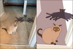 ambiguous_gender brown_tail comparison duo feral floating fur line_boil mirror mirror_reflection photo quadruped real reflection tail keke_(artist) domestic_cat eldritch_abomination felid feline felis mammal 2021 animated frame_by_frame loop short_playtime