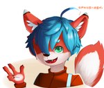 5_fingers anthro blue_hair fingers fur green_eyes hair kemono male orange_body orange_fur solo text white_body white_fur ivythepenguin0117 canid canine fox mammal absurd_res chinese_text hi_res