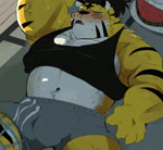 anthro balls barazoku barely_visible_genitalia belly big_belly blush bodily_fluids clothing electric_fan eyes_closed fur genitals kemono lying male musclegut muscular navel nipples penis shirt solo sweat topwear underwear wardrobe_malfunction white_body white_fur yellow_body yellow_fur hyaku_(artist) felid mammal pantherine tiger 2021 animated no_sound short_playtime webm