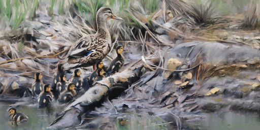 biped bipedal_feral branch feathers feral group mud multicolored_body multicolored_feathers river swimming young renum63 anas anatid anseriform avian bird dabbling_duck duck mallard 2013