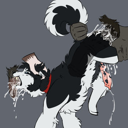 anal anal_penetration animal_genitalia animal_penis anus balls black_body black_fur blue_eyes bodily_fluids canine_genitalia collar cum cum_in_ass cum_inside curled_tail double_penetration equine_genitalia equine_penis erection eye_roll fangs feral floppy_ears forced forced_oral forced_orgasm fur genital_fluids genitals group group_sex hair half-closed_eyes hand_on_head holding_head humanoid_genitalia humanoid_penis male male/male male_penetrated male_penetrating male_penetrating_male multicolored_body multicolored_fur narrowed_eyes nude open_mouth oral orgasm penetration penile penis pubes raised_tail rape saliva sex simple_background tail tail_pull teeth threesome tongue trio two_tone_body two_tone_fur white_body white_fur x-ray_view xphantomk eddie_(xphantomk) canid canine canis domestic_dog husky mammal nordic_sled_dog spitz 1:1 digital_media_(artwork)