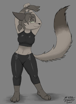 anthro black_bottomwear black_clothing black_topwear bottomwear clothing countershading crop_top dipstick_tail feet female fur grey_background grey_body grey_fur grey_hair hair half-closed_eyes halter_top legwear looking_at_viewer markings midriff narrowed_eyes pants shirt simple_background smile smiling_at_viewer solo stretching tail tail_markings tights toes topwear v-cut a9ymus tinderkell glass_(tinderkell) canid canine fox mammal 2024 absurd_res digital_media_(artwork) hi_res shaded