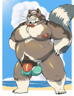 anthro balls beach belly big_belly big_moobs clothing cloud genitals male moobs nipples outside overweight overweight_anthro overweight_male penis solo standing swimwear soulasexypanda lifewonders live_a_hero viscunam mammal procyonid raccoon 2025 absurd_res hi_res