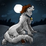 anthro chupa female full_moon howl howling_at_the_moon moon night nude solo werechupa raemyshu mythology selena_crone canid canine canis chupadore mammal mythological_canine mythological_creature werecanid werecanine werecreature werewolf wolf 1:1 hi_res