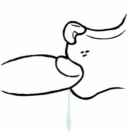 ambiguous_form ambiguous_gender bodily_fluids drooling fellatio genitals humanoid_genitalia humanoid_penis open_mouth oral penile penis saliva sex sucking toony theredlace canid canine mammal 2d_animation animated loop low_res