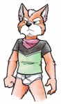 anthro black_clothing black_nose black_shirt black_topwear blue_eyes briefs bulge clothed clothing fur green_clothing green_eyes green_shirt green_topwear male monotone_briefs monotone_clothing monotone_underwear orange_body orange_fur pantsless pantsless_anthro pantsless_male red_scarf scarf shirt simple_background solo stern tighty_whities topwear underwear white_background white_body white_briefs white_clothing white_fur white_underwear y-fronts cirruskitfox nintendo star_fox fox_mccloud canid canine fox mammal hi_res